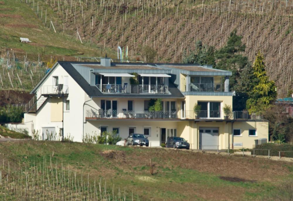 Ferienhaus Panorama Mosel Reil Dış mekan fotoğraf